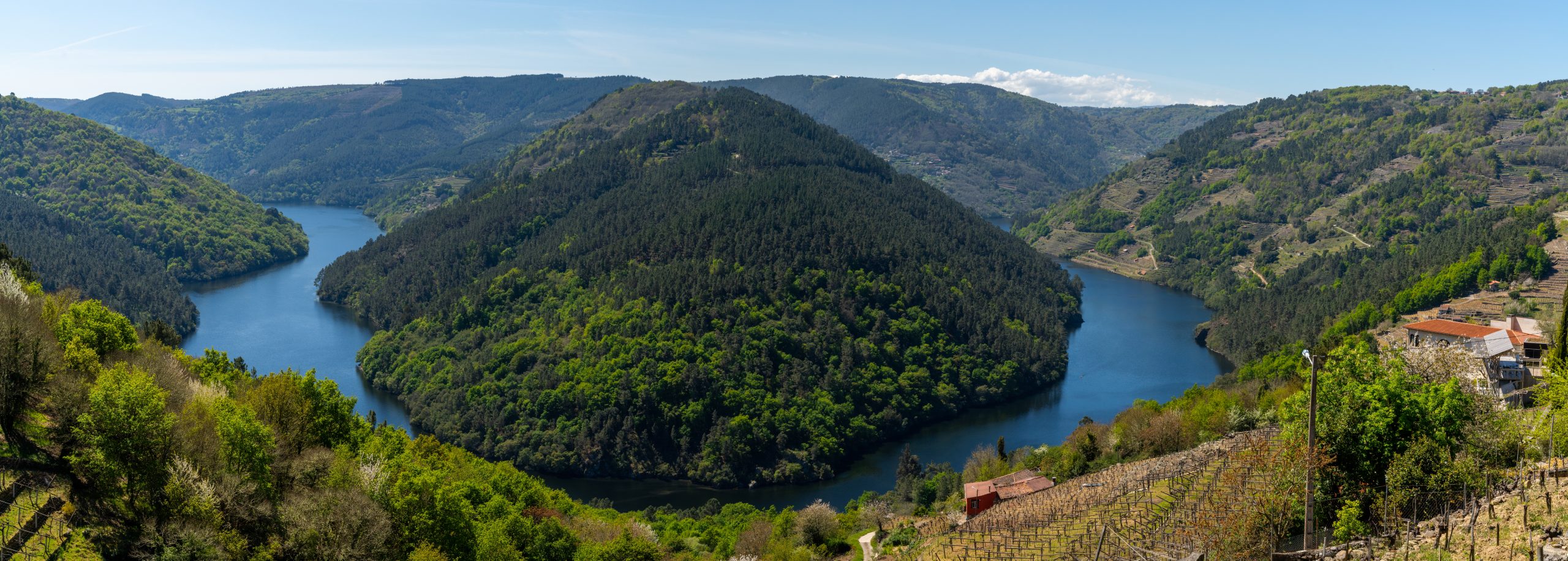 La Ribeira Sacra, land of wine and monasteries