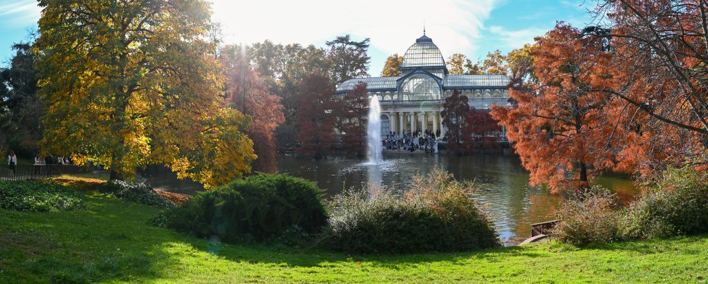 Nuestros favoritos en Madrid